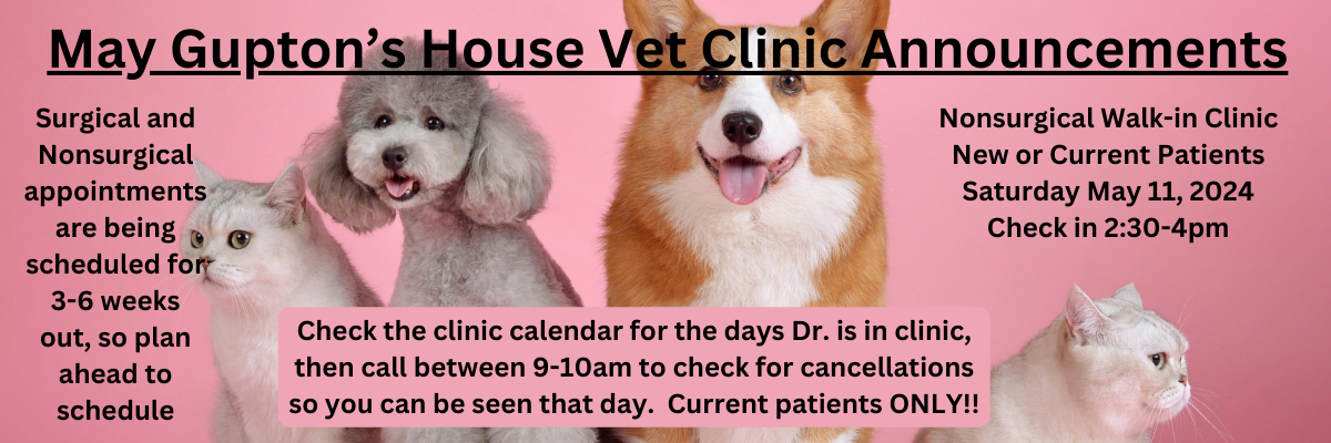 vet clinic announcements